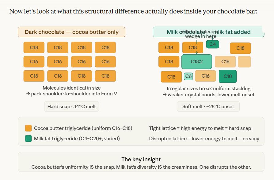 Milk fat structure inside chocolate